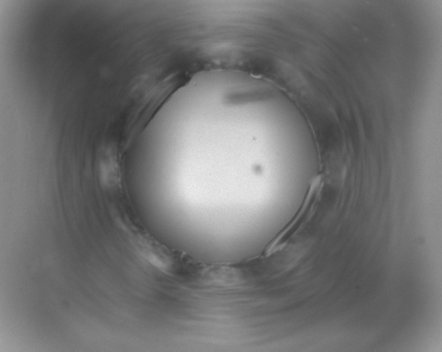 X0000068731298200605192308