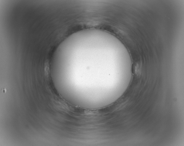 X0000068731299200605192308