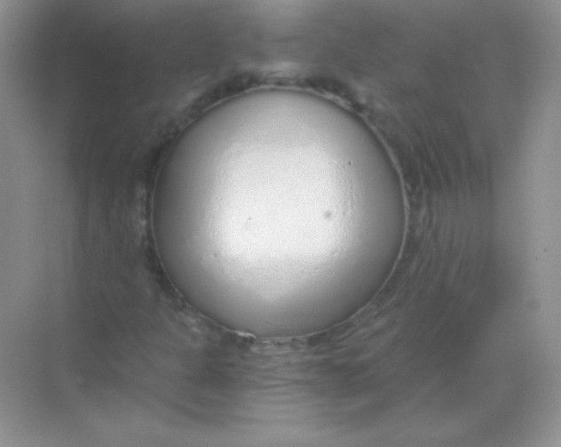 X0000068731301200605192308