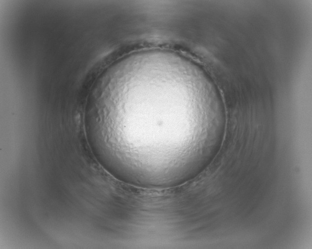 X0000068731302200605192309