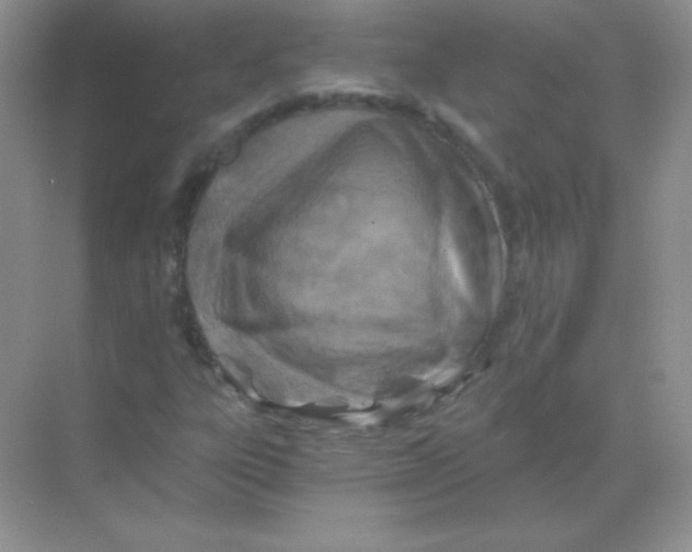 X0000068731303200605192309