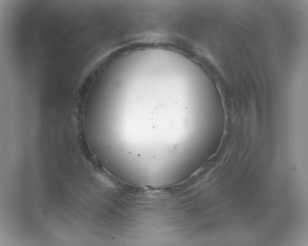 X0000068731304200605192309