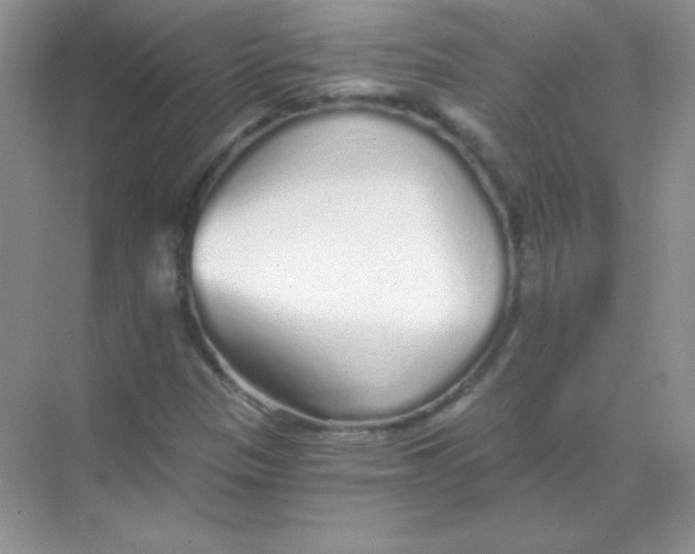 X0000068731305200605192309