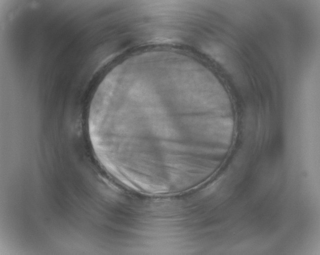 X0000068731306200605192309