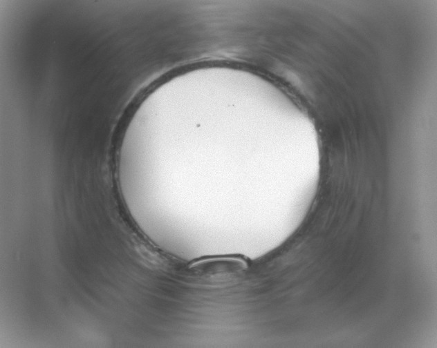 X0000068731308200605192309