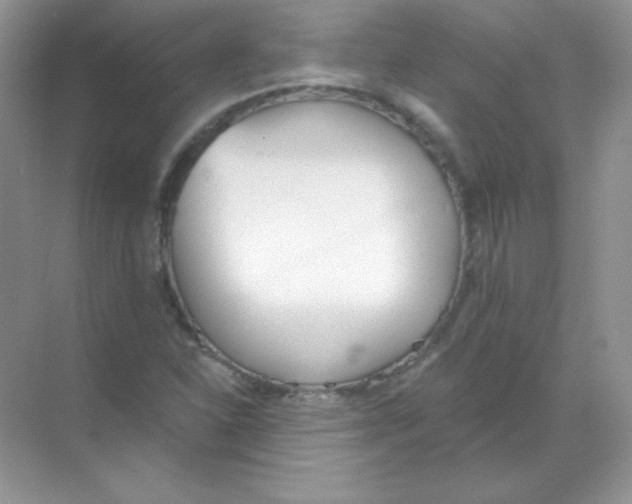 X0000068731310200605192309