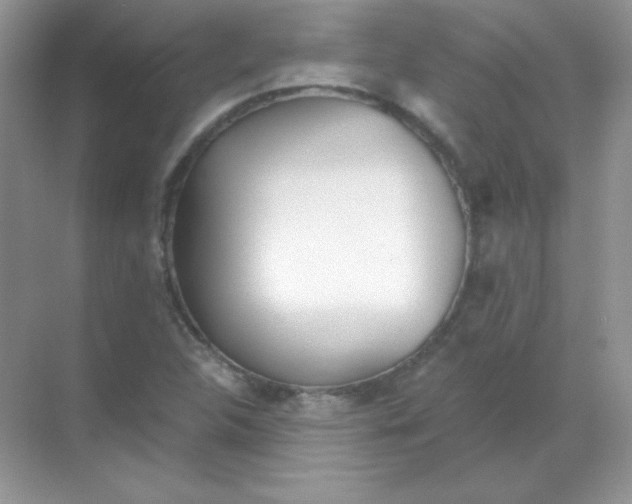 X0000068731312200605192309