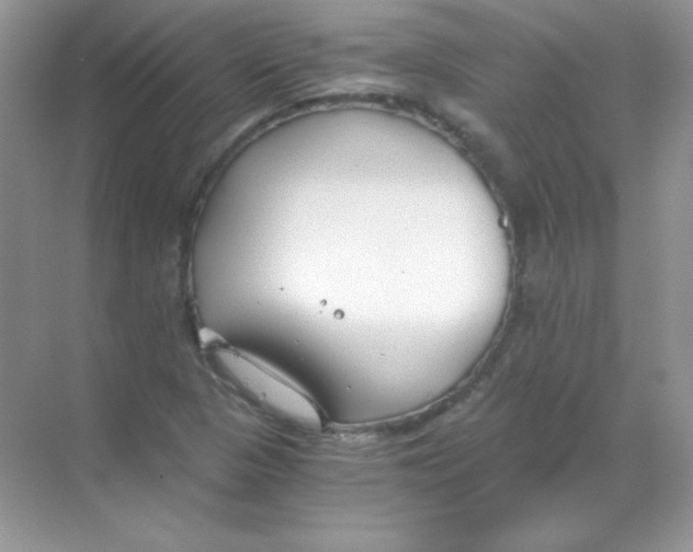 X0000068731313200605192309