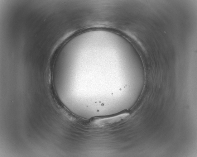 X0000068731317200605192309