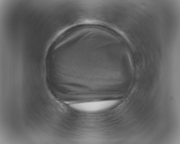 X0000068731319200605192309