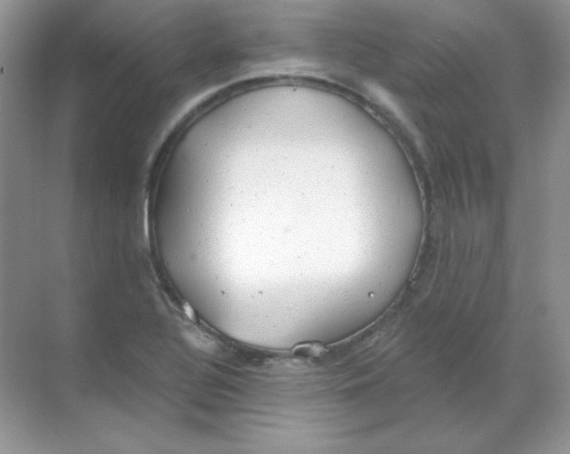 X0000068731320200605192309