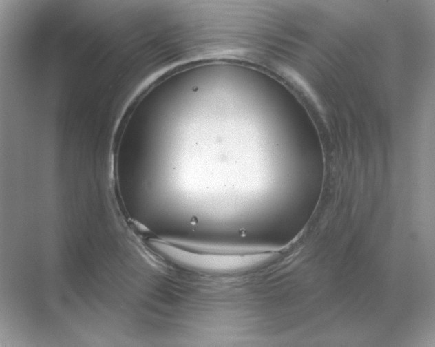 X0000068731324200605192309