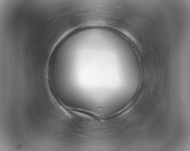 X0000068731325200605192309