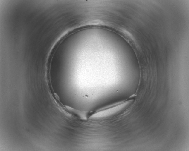 X0000068731326200605192309