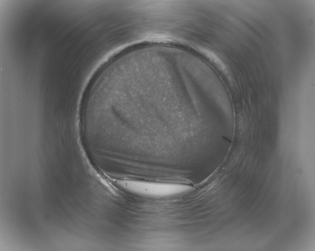 X0000068731327200605192309