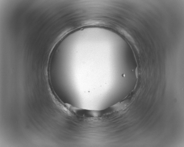 X0000068731330200605192309