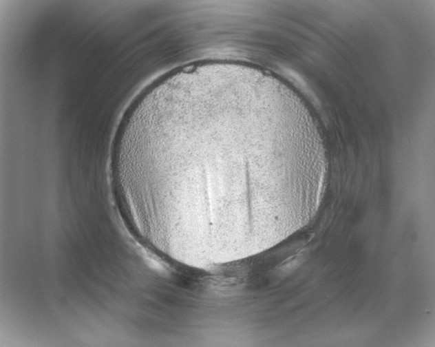 X0000068731331200605192309