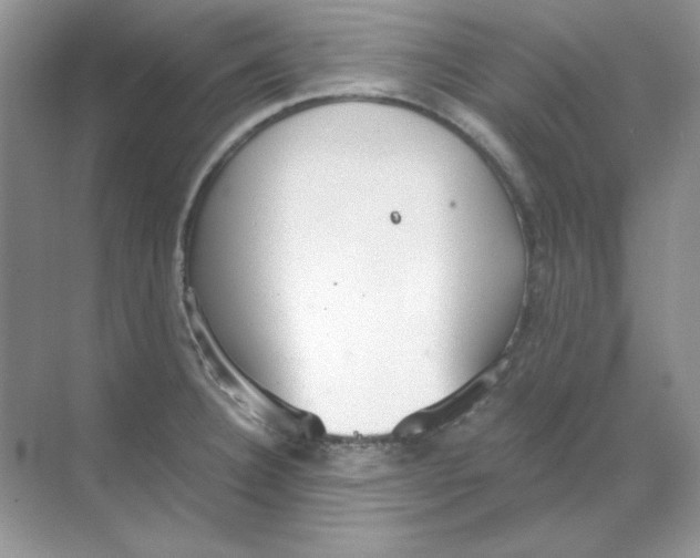 X0000068731332200605192309