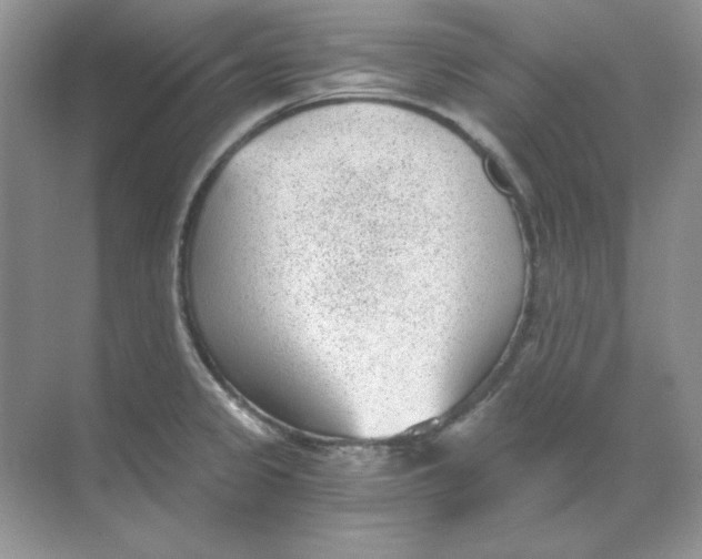 X0000068731333200605192309