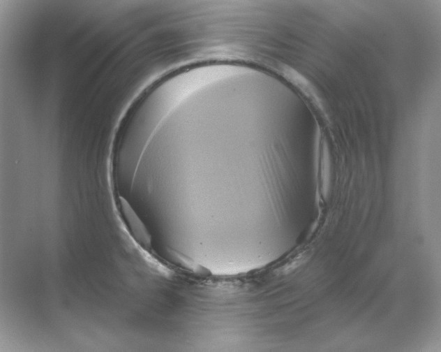 X0000068731334200605192309