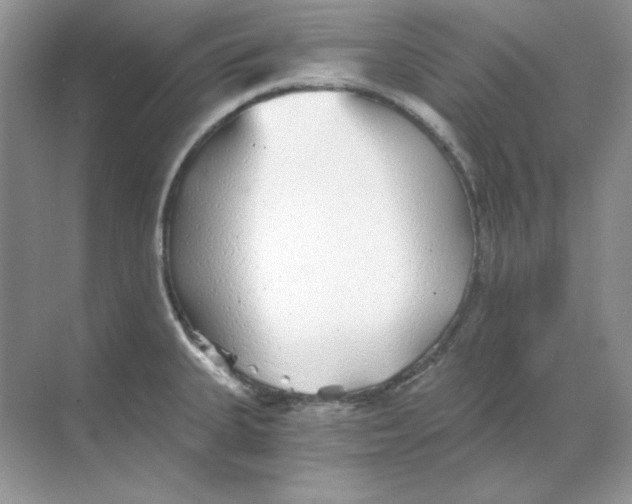 X0000068731335200605192309