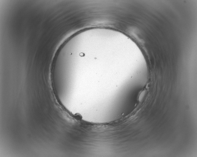 X0000068731336200605192309