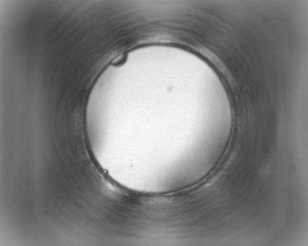 X0000068731337200605192309