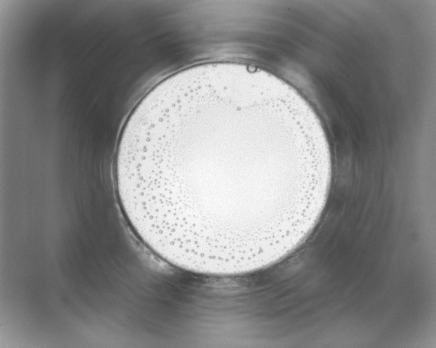 X0000068731338200605192309