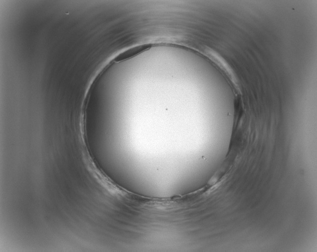 X0000068731340200605192309