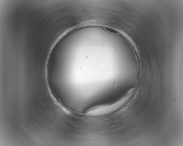 X0000068731341200605192309