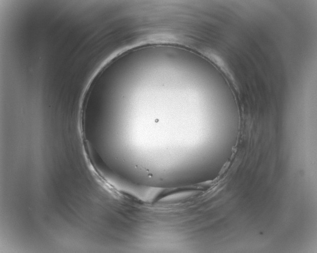 X0000068731342200605192309