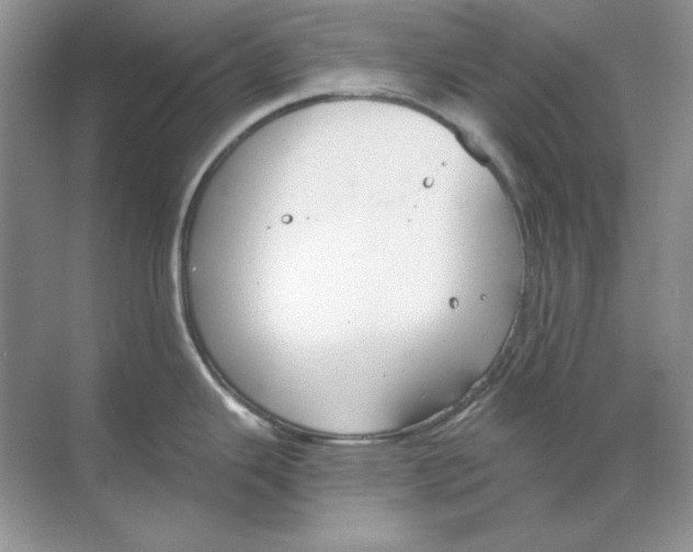 X0000068731343200605192309