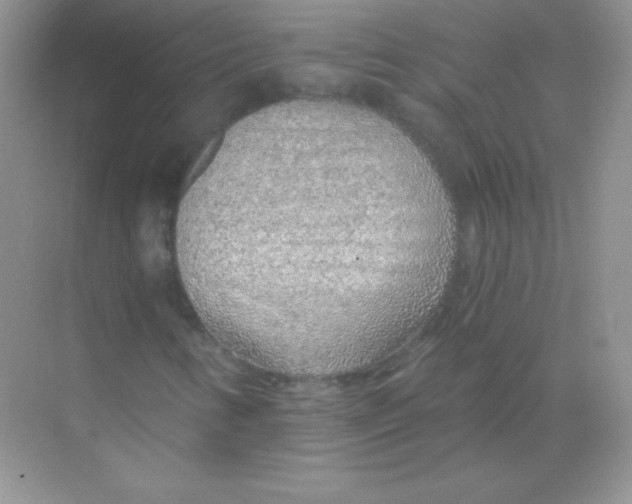 X0000068731346200605192308