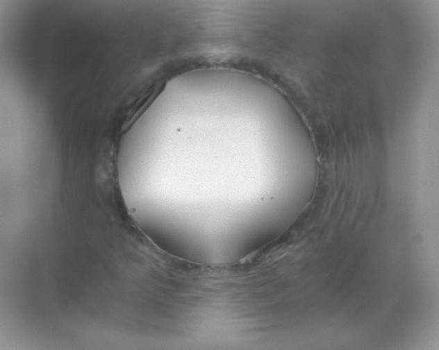 X0000068731349200605192308