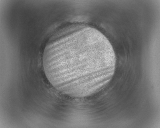 X0000068731350200605192308