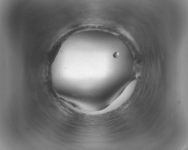 X0000068731352200605192308