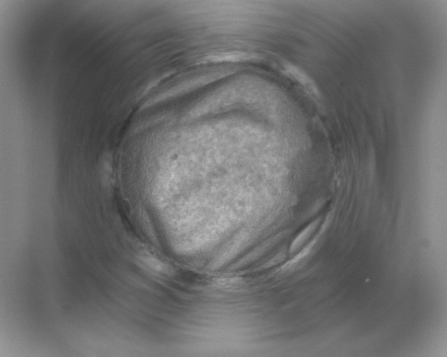 X0000068731353200605192308