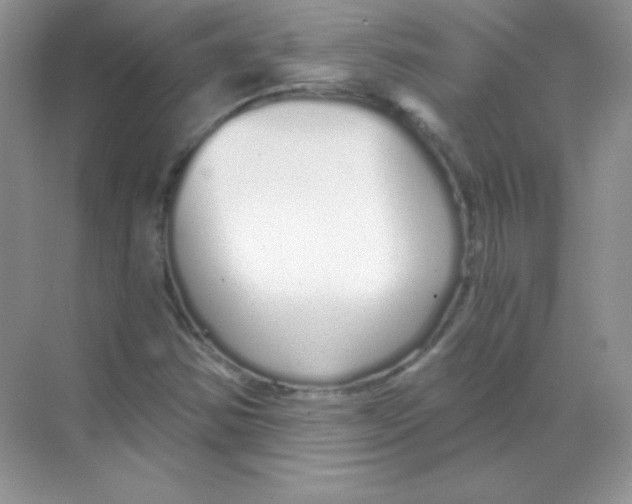 X0000068731354200605192308