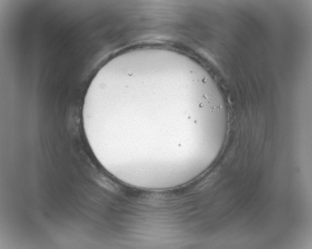 X0000068731355200605192308