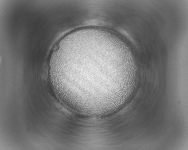 X0000068731358200605192308