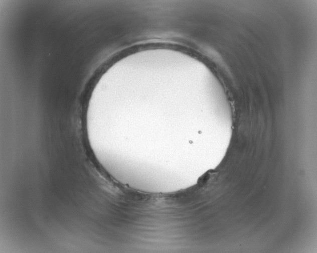 X0000068731360200605192308