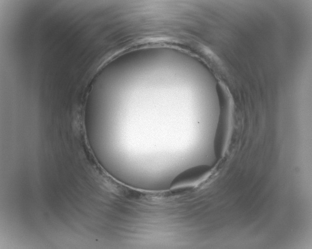 X0000068731361200605192308