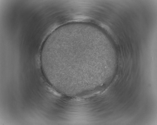 X0000068731362200605192308