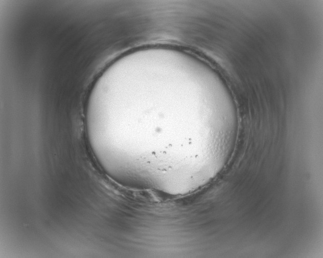 X0000068731363200605192308