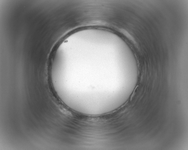 X0000068731364200605192308