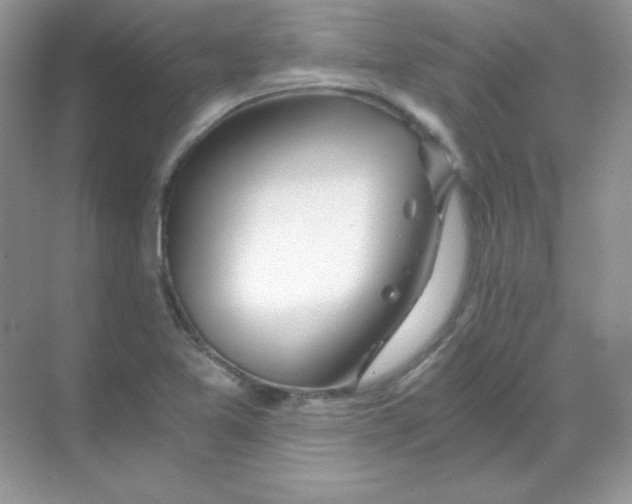 X0000068731365200605192308