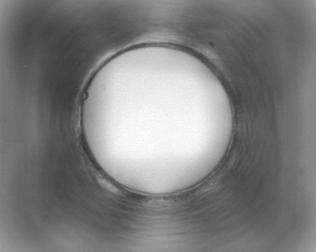 X0000068731366200605192308