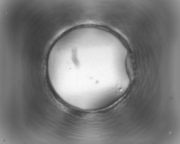 X0000068731367200605192308