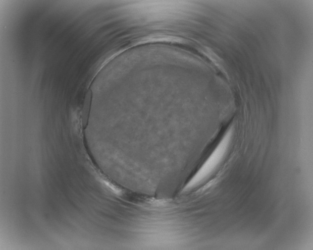 X0000068731369200605192308