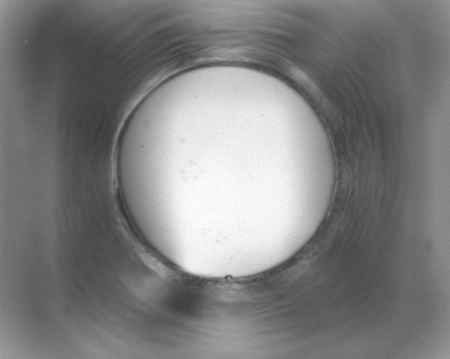 X0000068731370200605192308